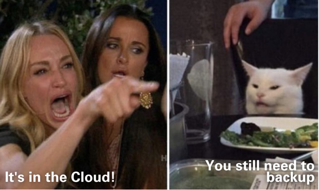 Cloud backup meme with a cat