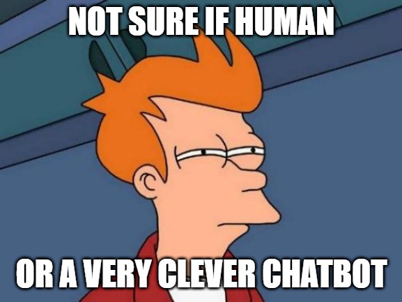 not sure if human or very clever AI chatbot meme